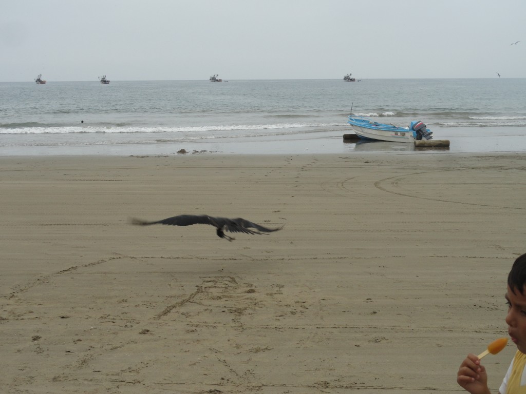 Foto: Playa - Crucitas (Manabí), Ecuador