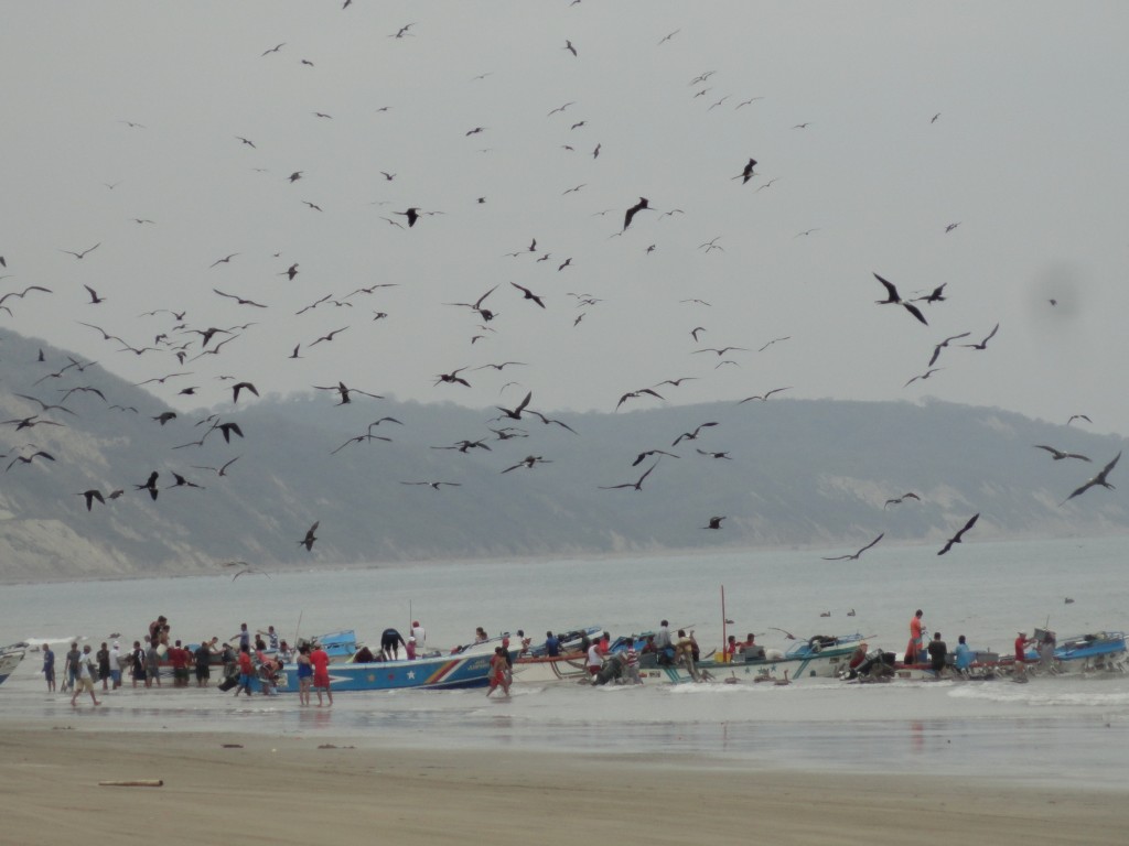 Foto: Playa - Crucitas (Manabí), Ecuador