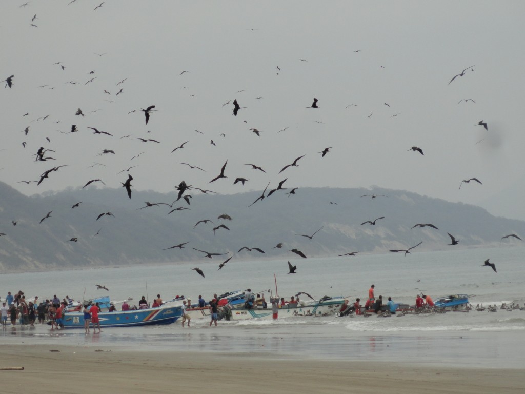 Foto: Playa - Crucitas (Manabí), Ecuador