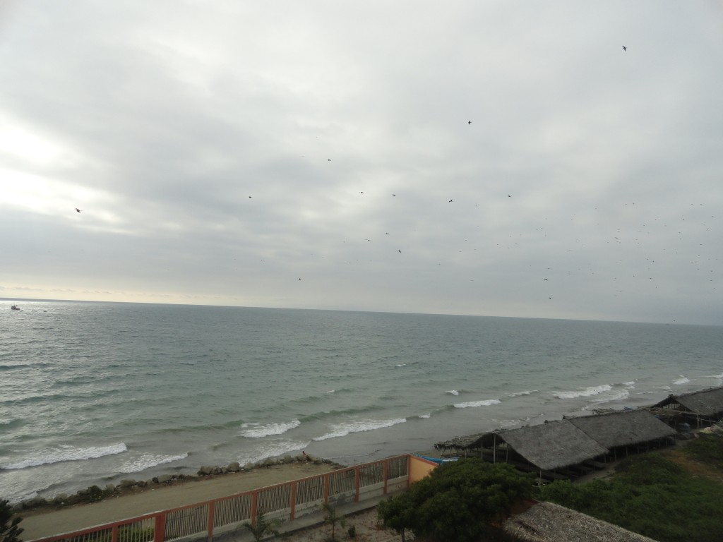 Foto: Playa - Crucitas (Manabí), Ecuador