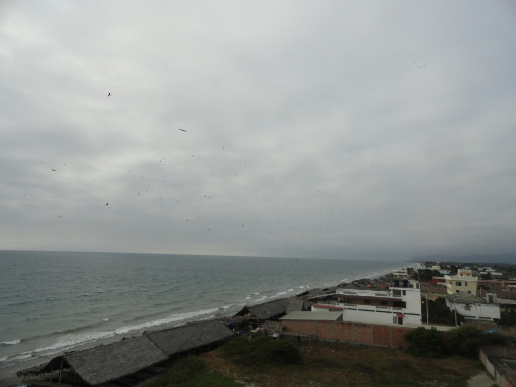 Foto: Playa - Crucitas (Manabí), Ecuador