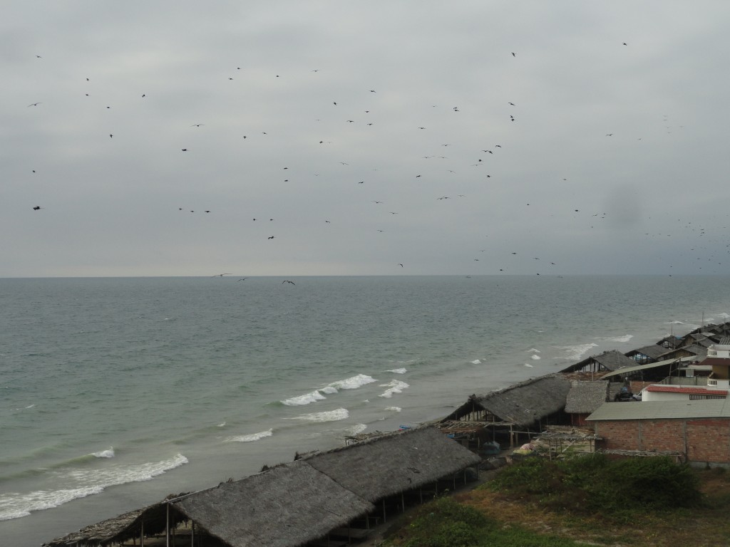 Foto: Playa - Crucitas (Manabí), Ecuador