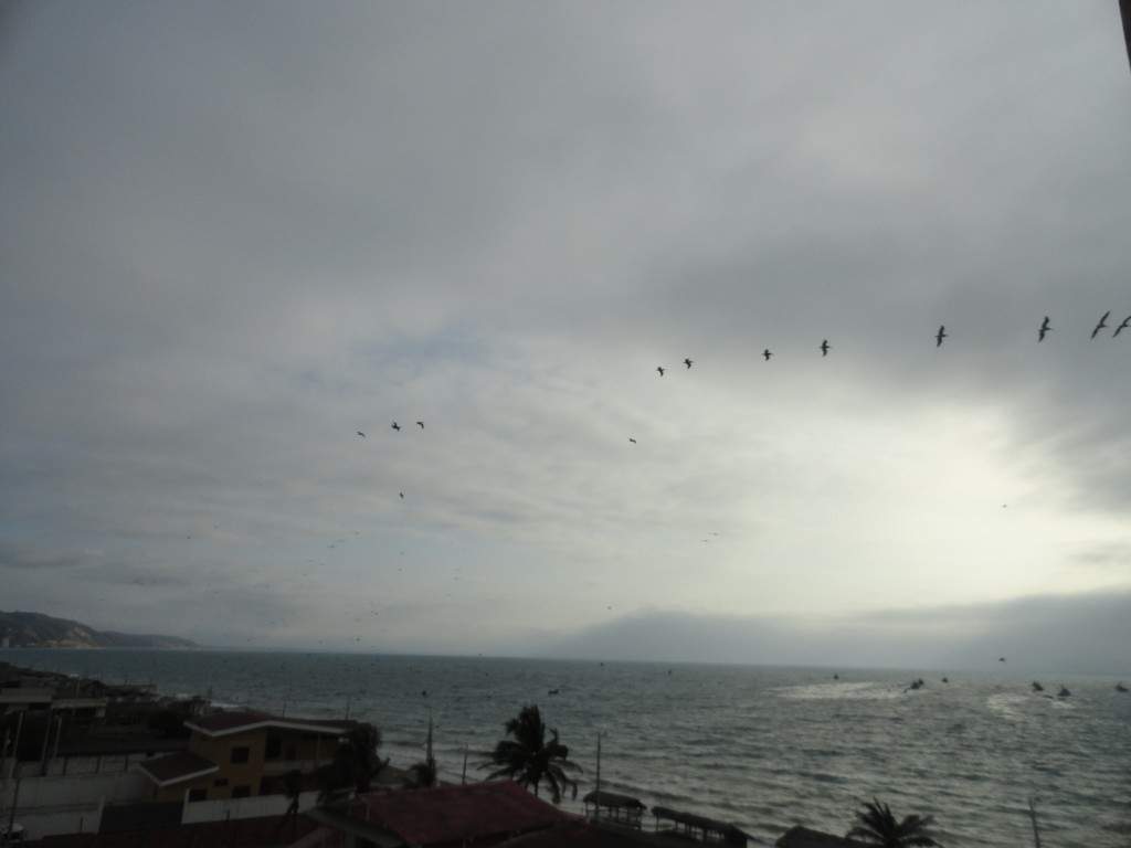Foto: Playa - Crucitas (Manabí), Ecuador