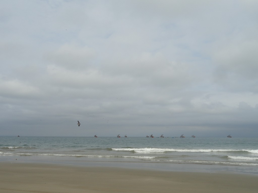 Foto: Playa - Crucitas (Manabí), Ecuador