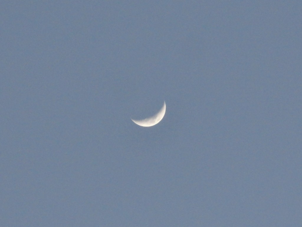 Foto: Luna - Crucitas (Manabí), Ecuador