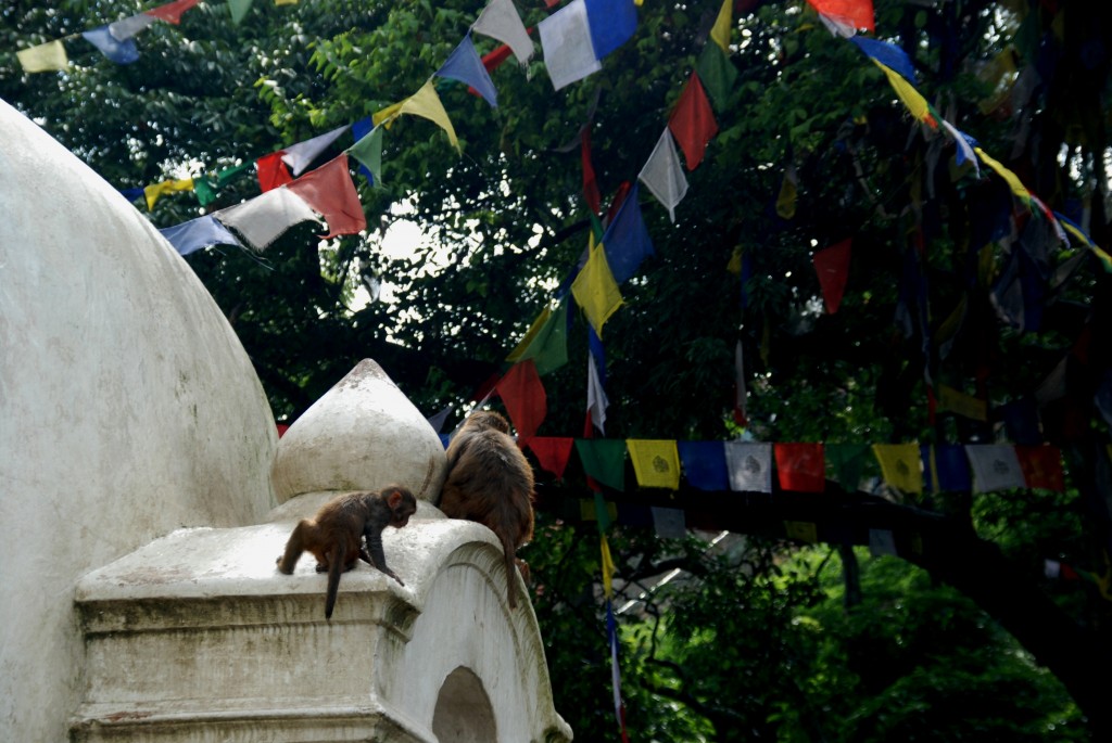 Foto de Kathmandu, Nepal