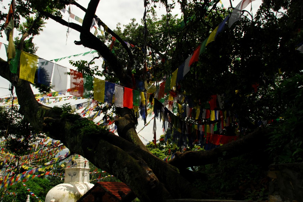 Foto de Kathmandu, Nepal