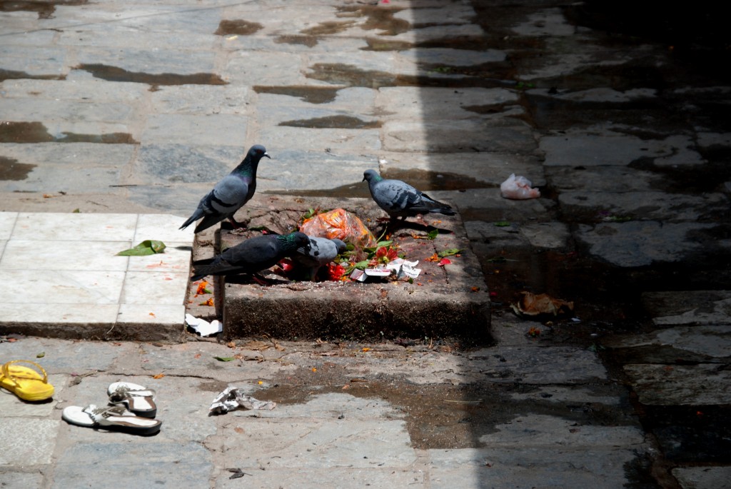 Foto de Kathmandu, Nepal