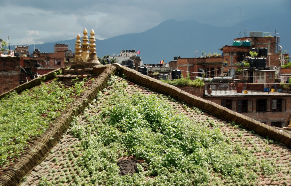 Foto de Kathmandu, Nepal