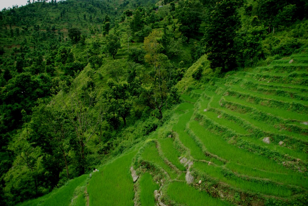 Foto de Manakamana, Nepal