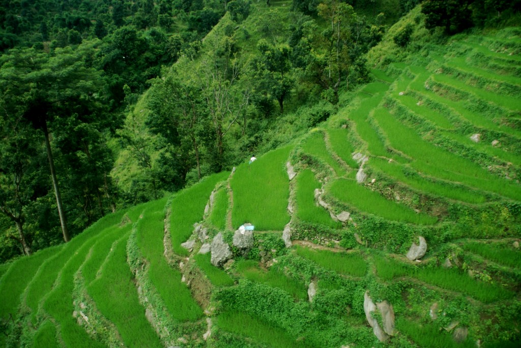 Foto de Manakamana, Nepal