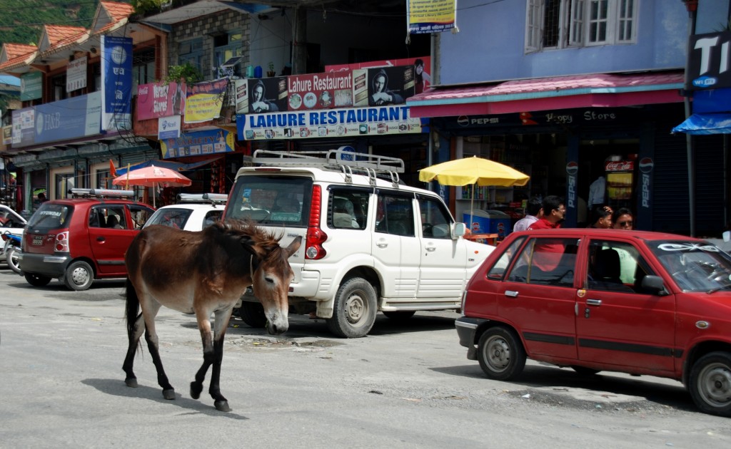 Foto de Pokhara, Nepal
