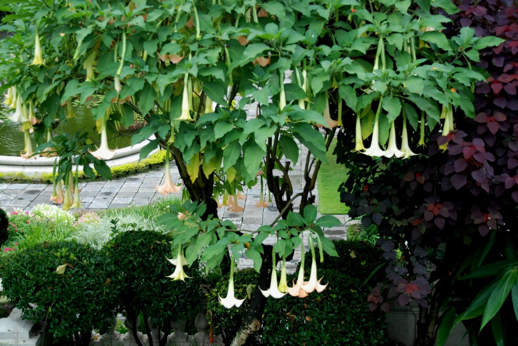 Foto: Jardin de los sueños - Kathmandu, Nepal