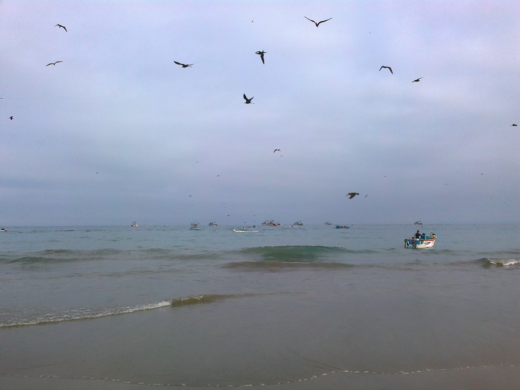 Foto: Playa - Crucitas (Manabí), Ecuador