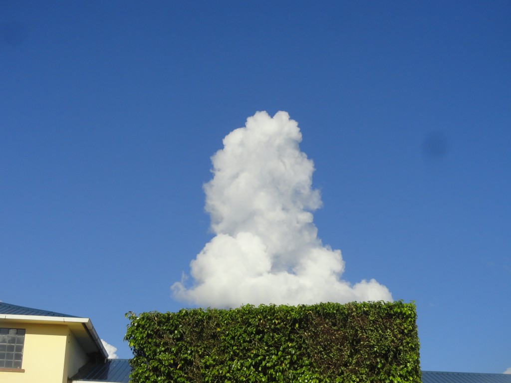 Foto: Nuve - Puyo (Pastaza), Ecuador