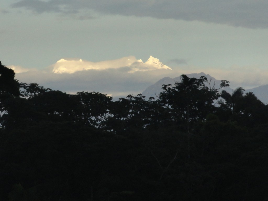 Foto: los altares - Simón Bolívar (Mushullacta) (Pastaza), Ecuador