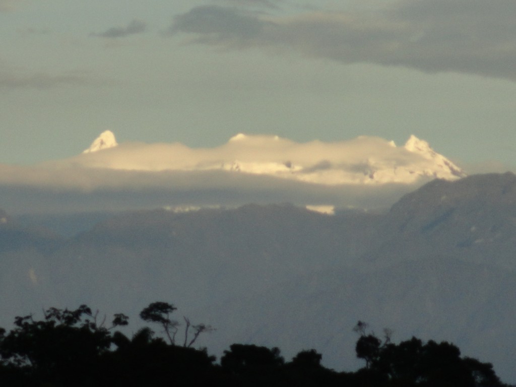 Foto: Los altares - Simón Bolívar (Mushullacta) (Pastaza), Ecuador