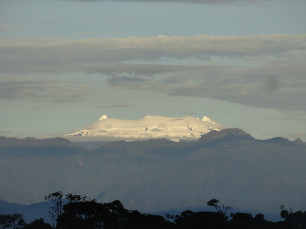 Foto: Los altares - Simón Bolívar (Mushullacta) (Pastaza), Ecuador