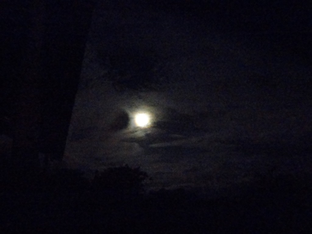 Foto: Luna - Shell (Pastaza), Ecuador