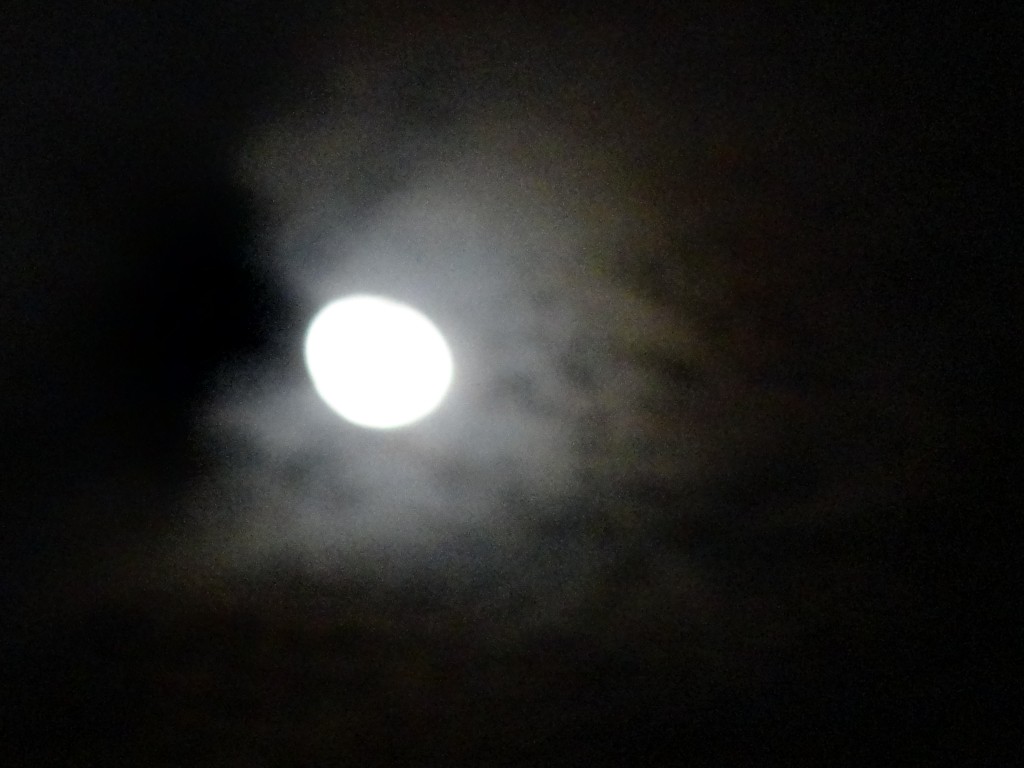 Foto: Luna - Shell (Pastaza), Ecuador