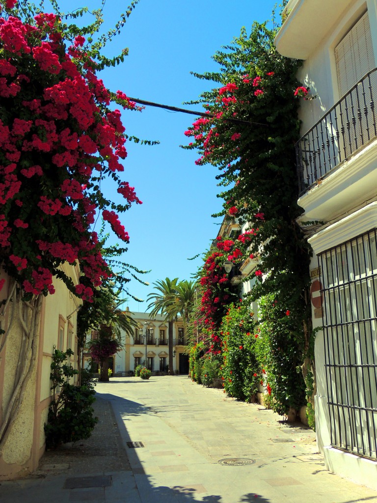 Foto: Calle Fray Baldomero González - Chipiona (Cádiz), España