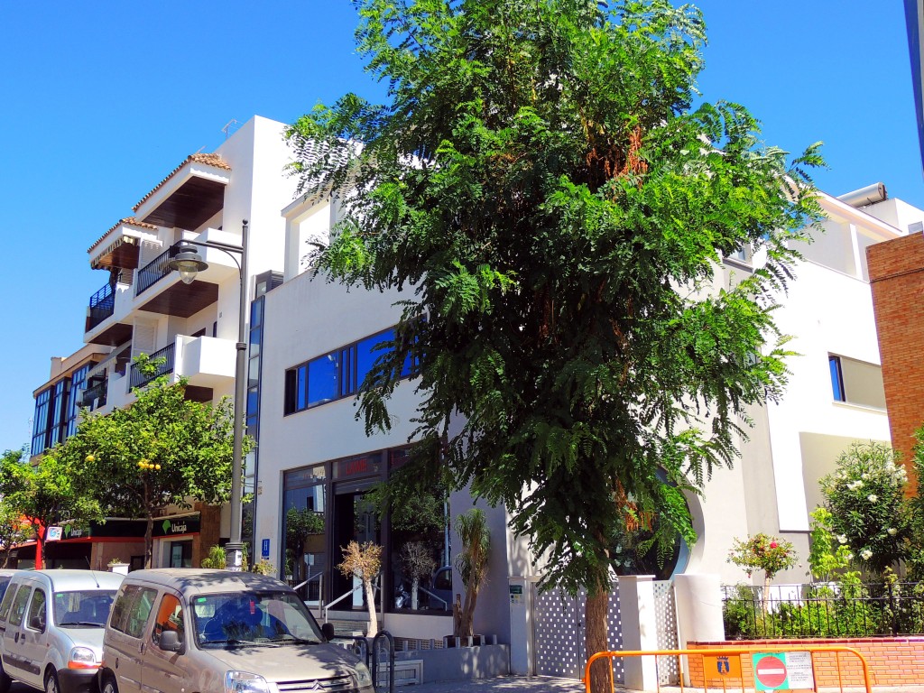 Foto: Hotel Laime - Chipiona (Cádiz), España