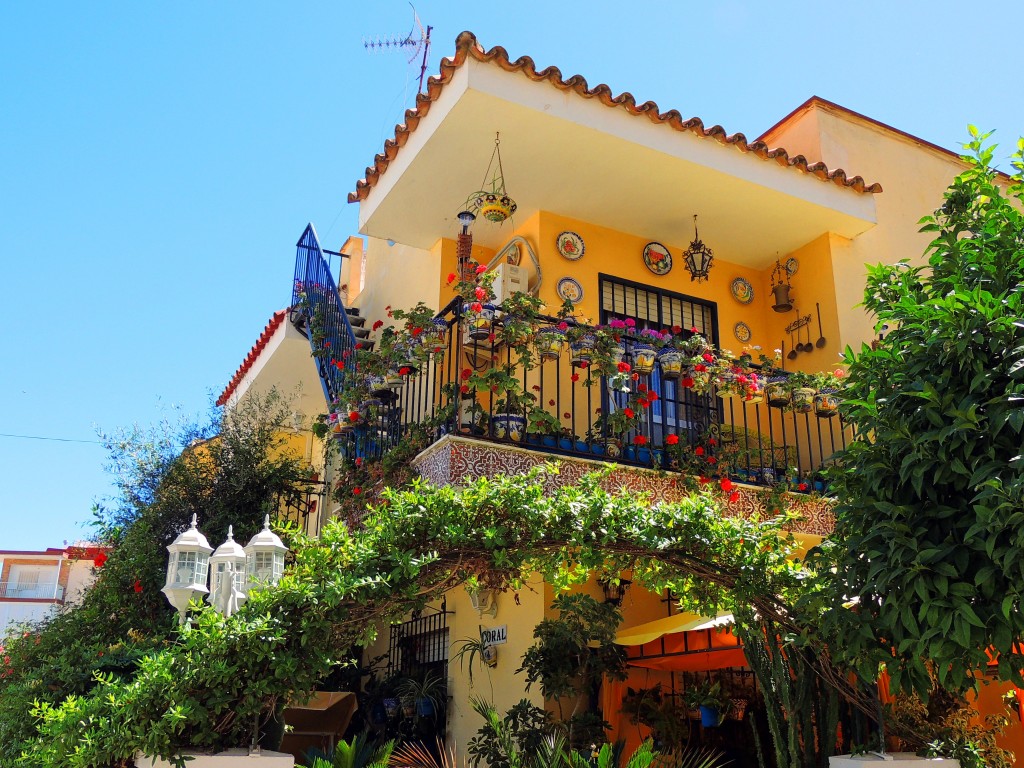 Foto: Coral - Chipiona (Cádiz), España