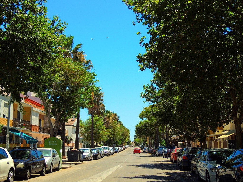 Foto: Avenida Sevilla - Chipiona (Cádiz), España