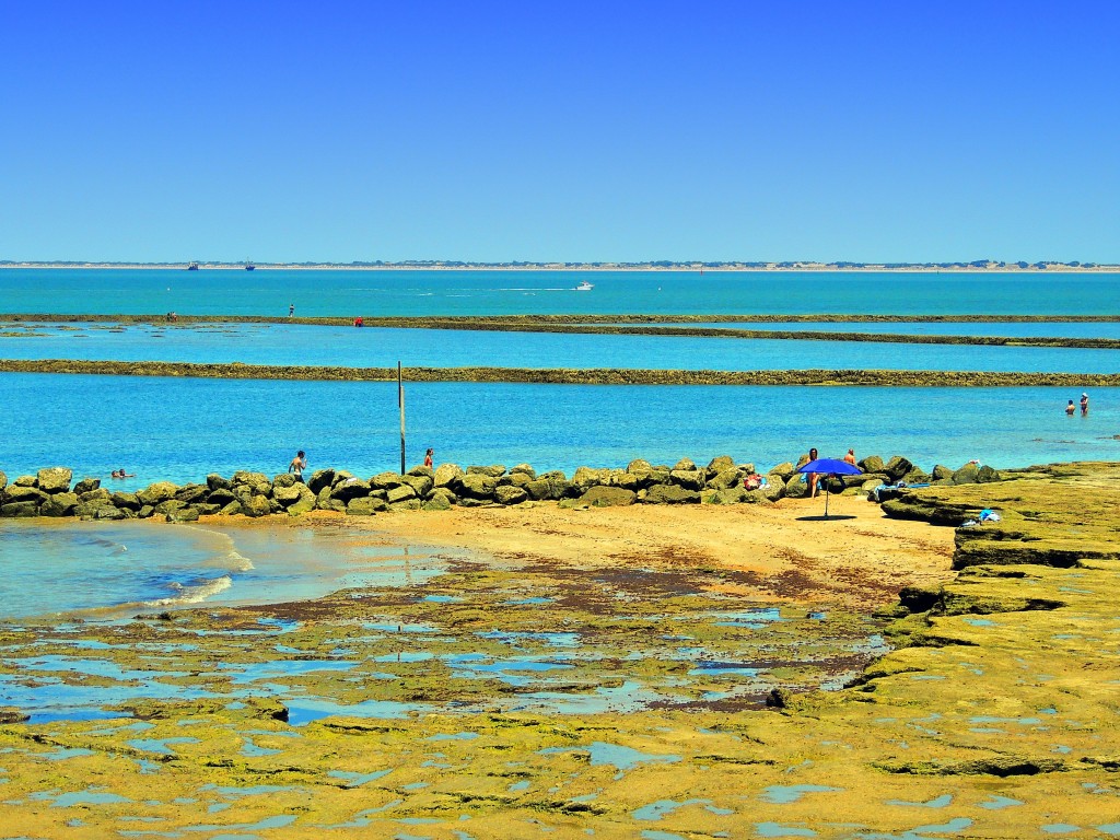 Foto: Al fondo el Coto Doñana - Chipiona (Cádiz), España