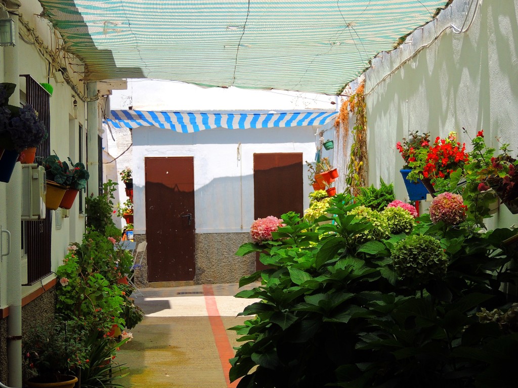 Foto: Patio Chipionero - Chipiona (Cádiz), España