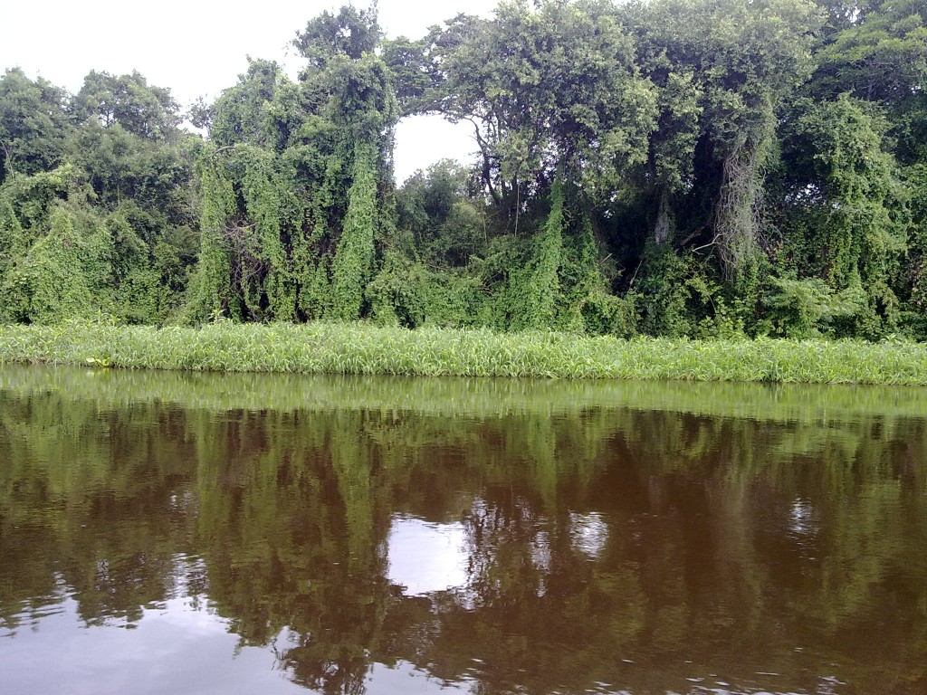 Foto de Arekutakua, Paraguay
