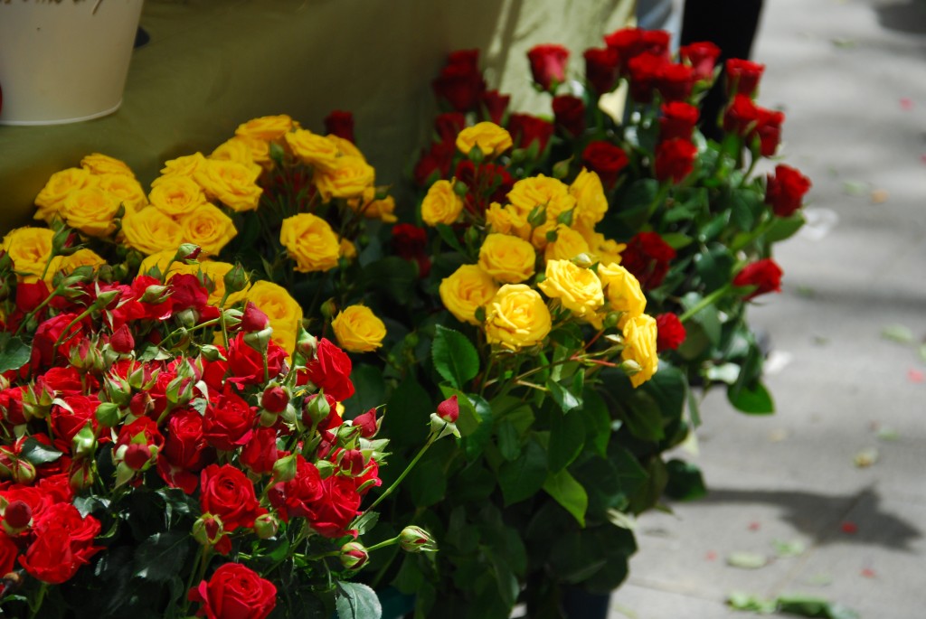 Foto de Santa Rita de Casia (Barcelona), España