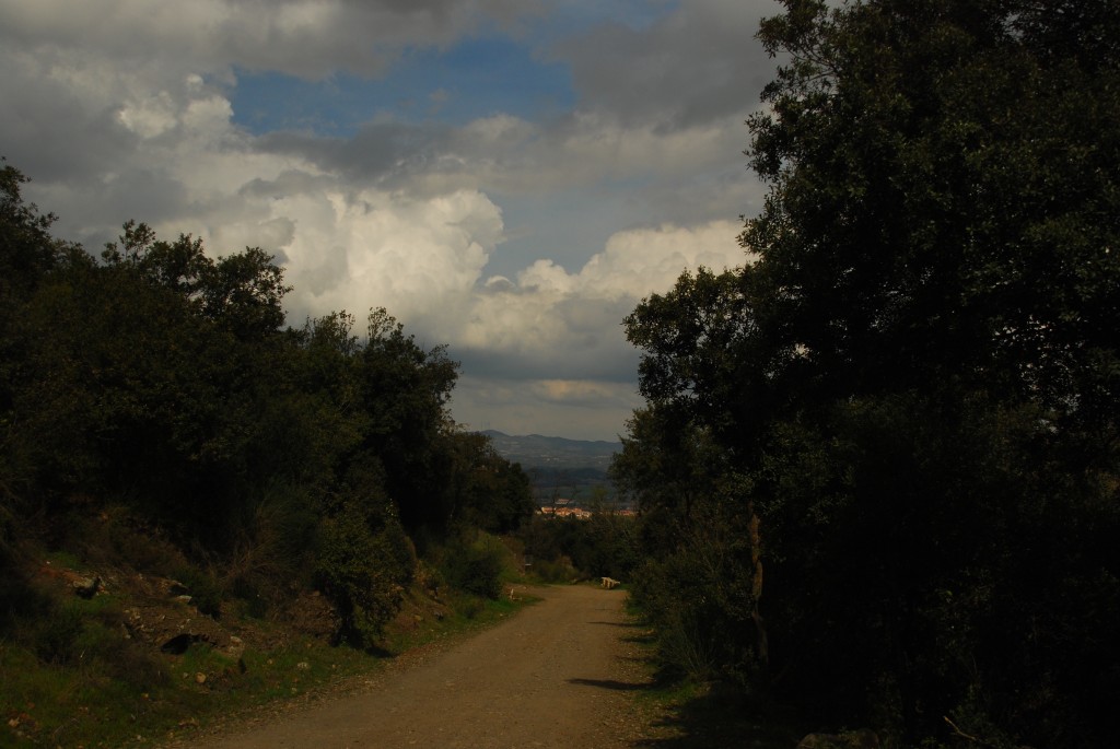 Foto de Poblet (Tarragona), España