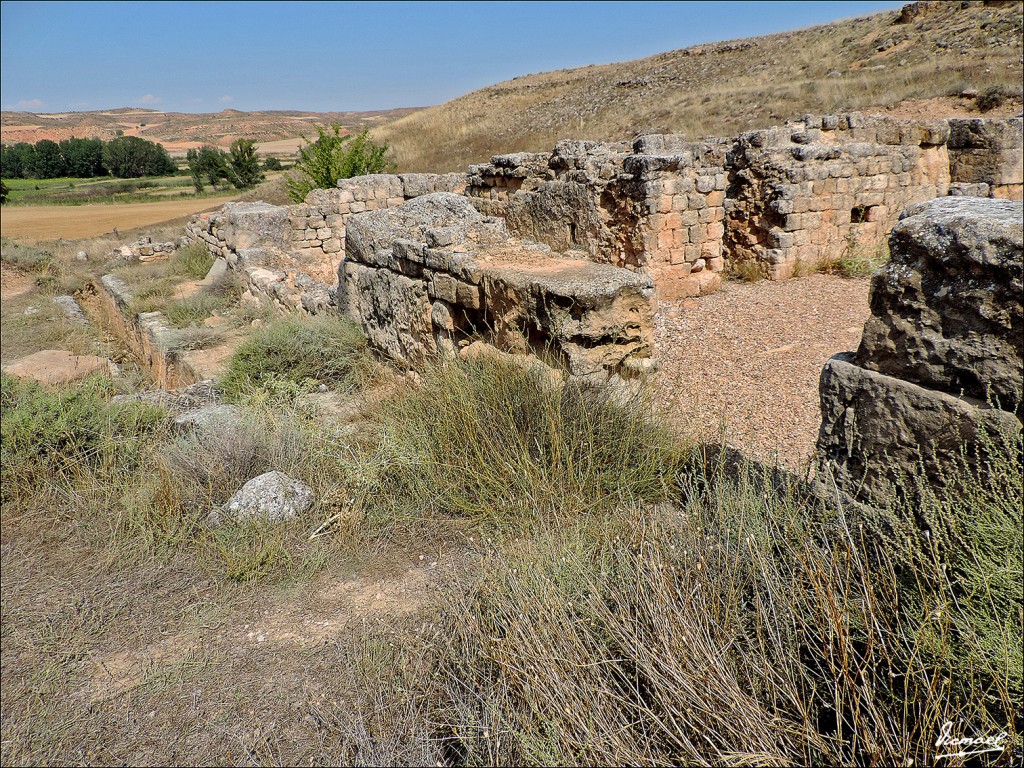 Foto: 130830-03 ARCOBRIGA, MONREAL - Monreal De Ariza (Zaragoza), España