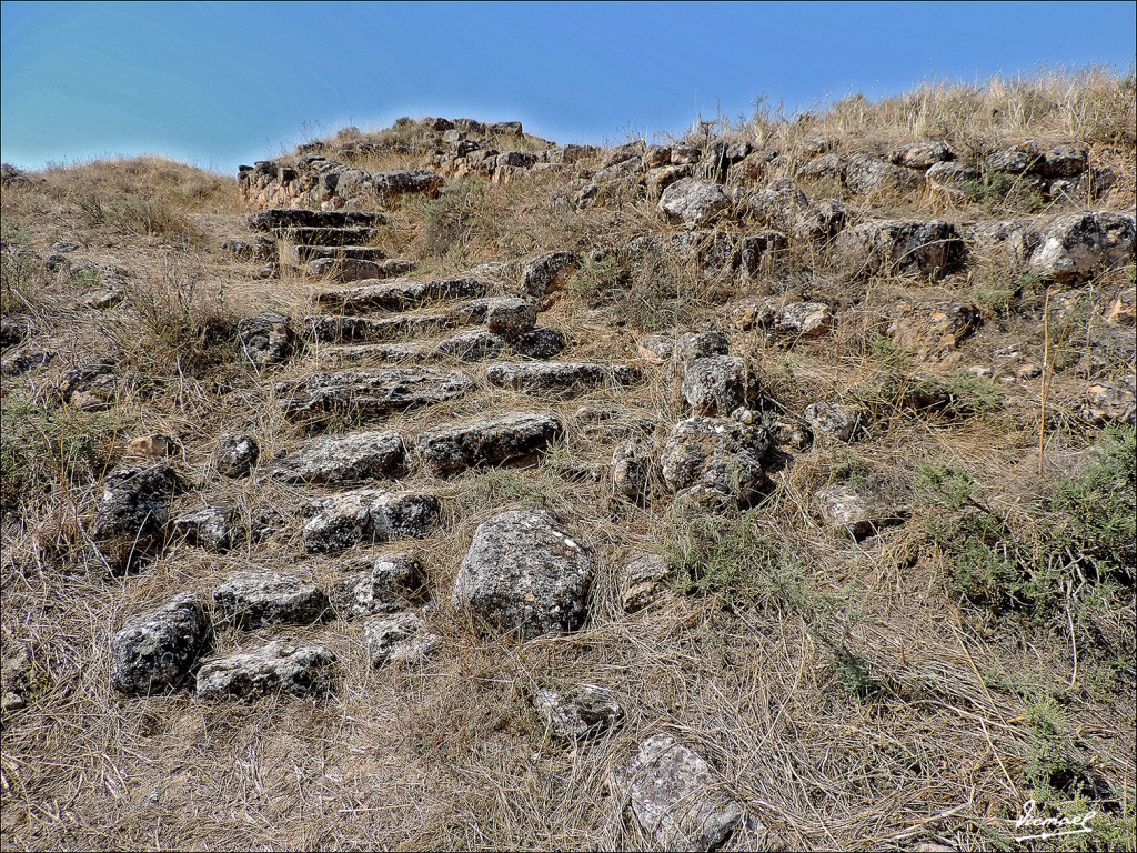Foto: 130830-25 ARCOBRIGA, MONREAL - Monreal De Ariza (Zaragoza), España