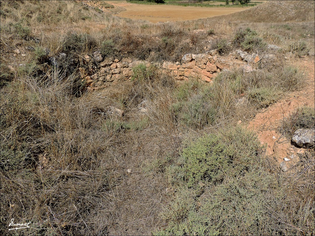 Foto: 130830-27 ARCOBRIGA, MONREAL - Monreal De Ariza (Zaragoza), España