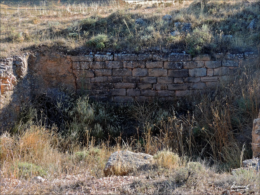 Foto: 130730-12 POBLADO ARCOBRIGA - Monreal De Ariza (Zaragoza), España