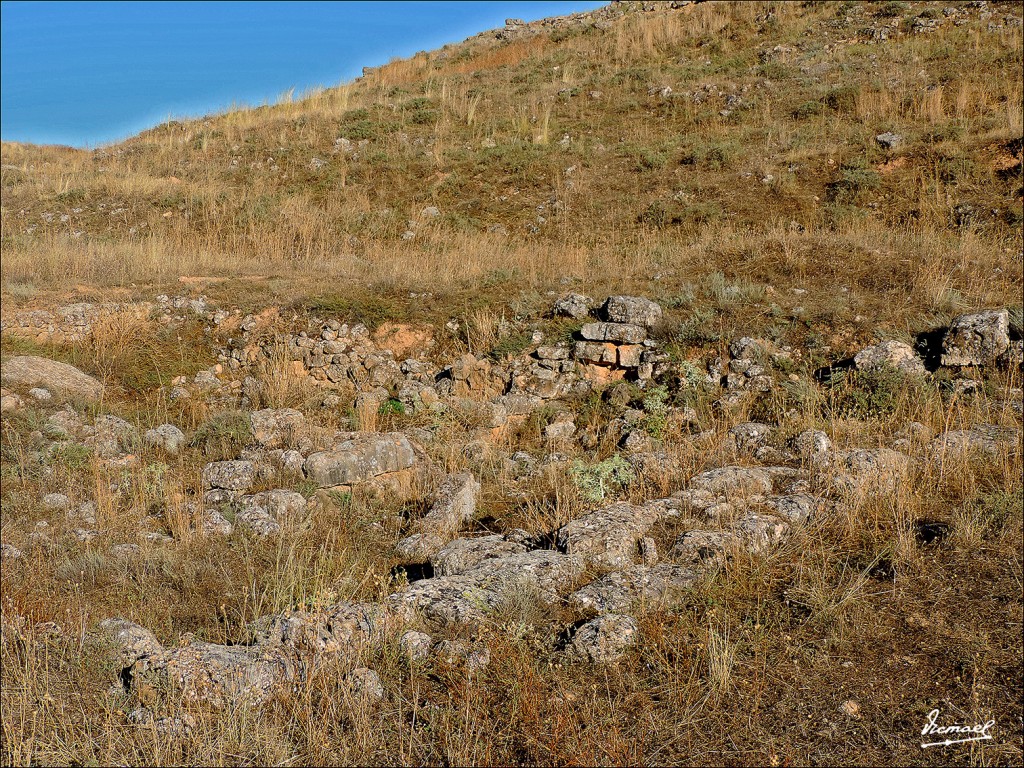 Foto: 130730-18 POBLADO ARCOBRIGA - Monreal De Ariza (Zaragoza), España