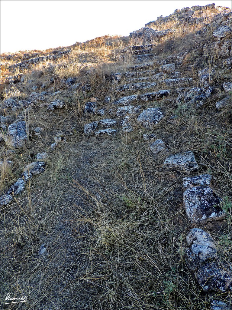 Foto: 130730-26 POBLADO ARCOBRIGA - Monreal De Ariza (Zaragoza), España