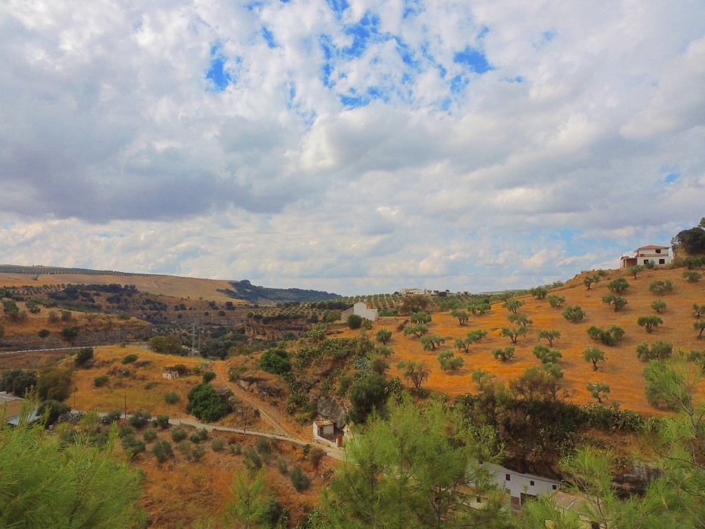 Foto de Setenil de las Bodegas (Cádiz), España