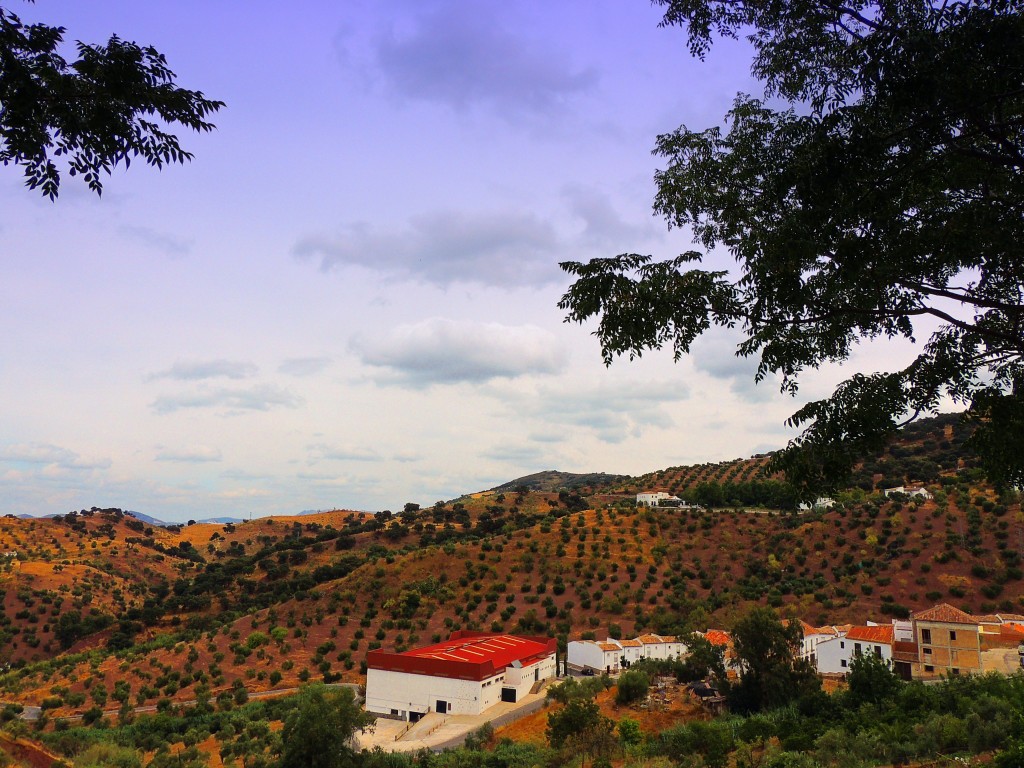 Foto de El Gastor (Cádiz), España