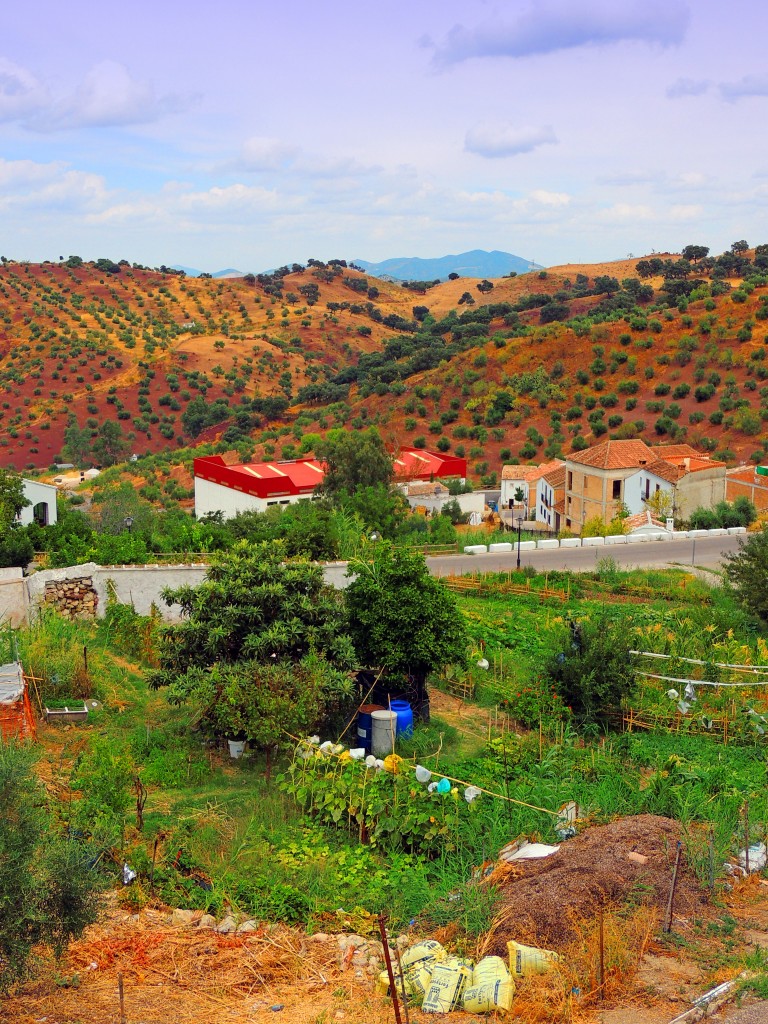 Foto de El Gastor (Cádiz), España