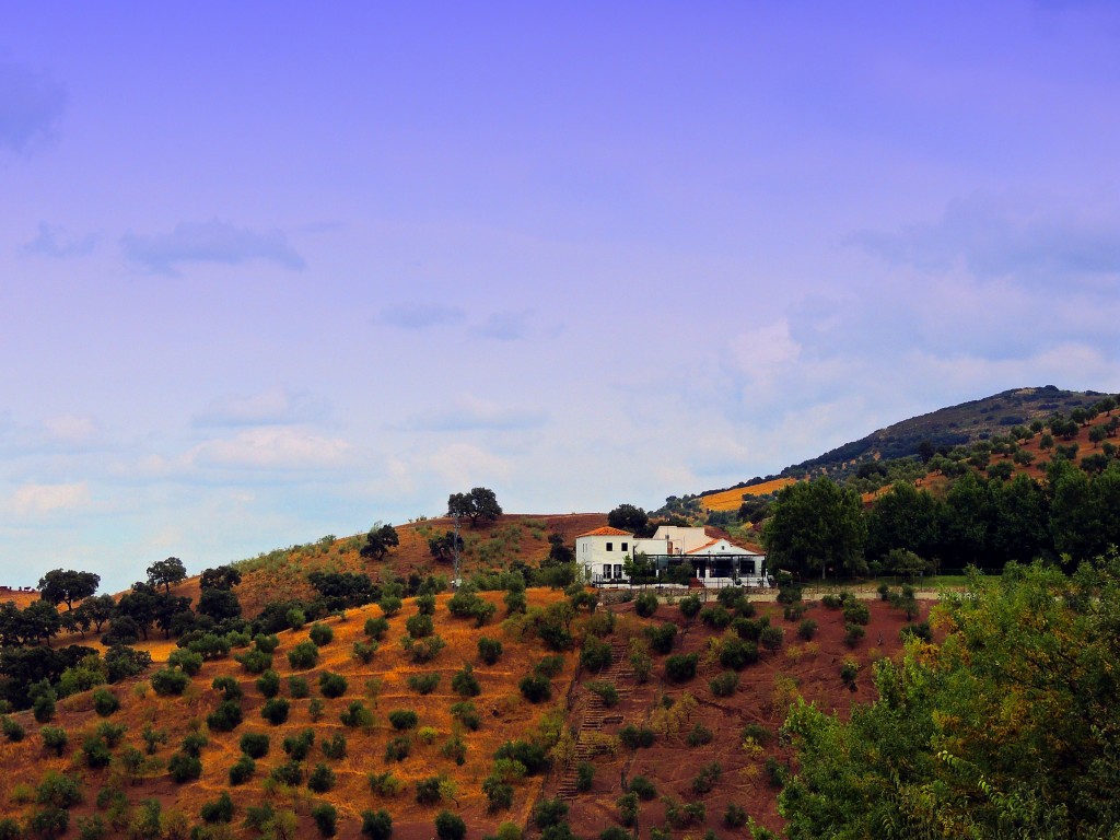 Foto de El Gastor (Cádiz), España