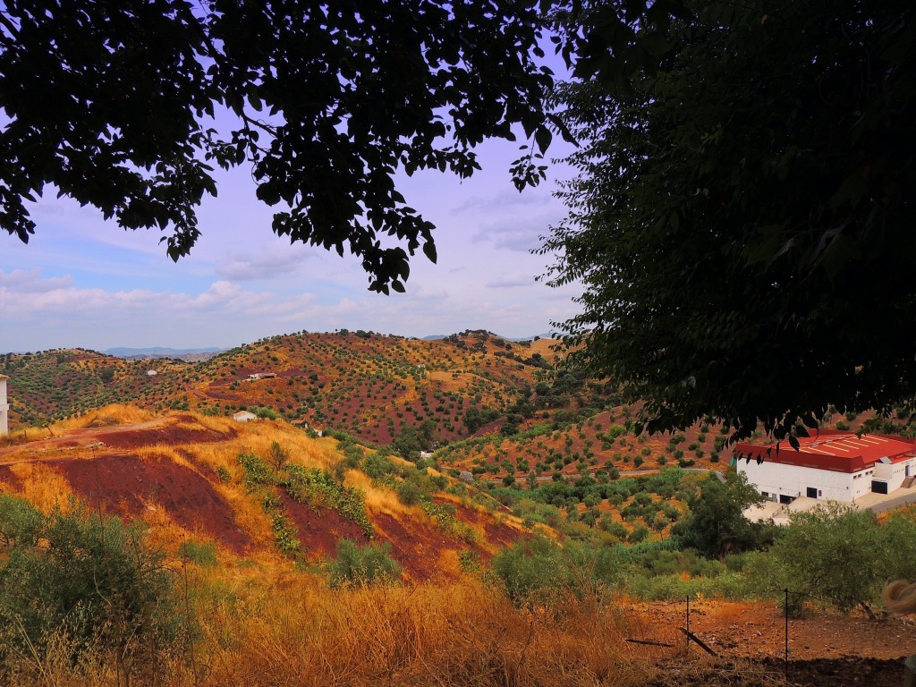 Foto de El Gastor (Cádiz), España