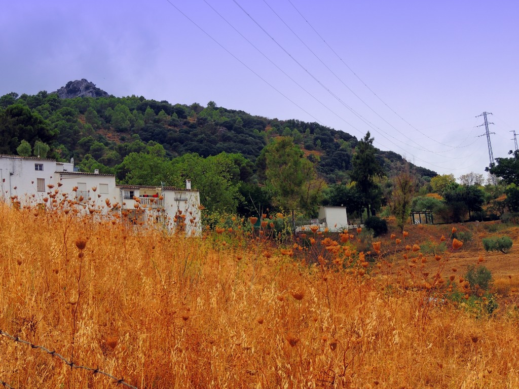 Foto de El Gastor (Cádiz), España