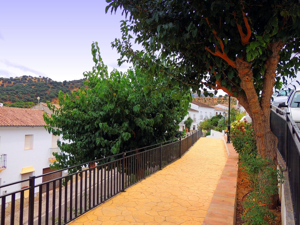 Foto de El Gastor (Cádiz), España