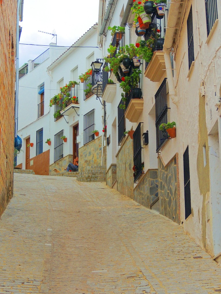Foto de El Gastor (Cádiz), España