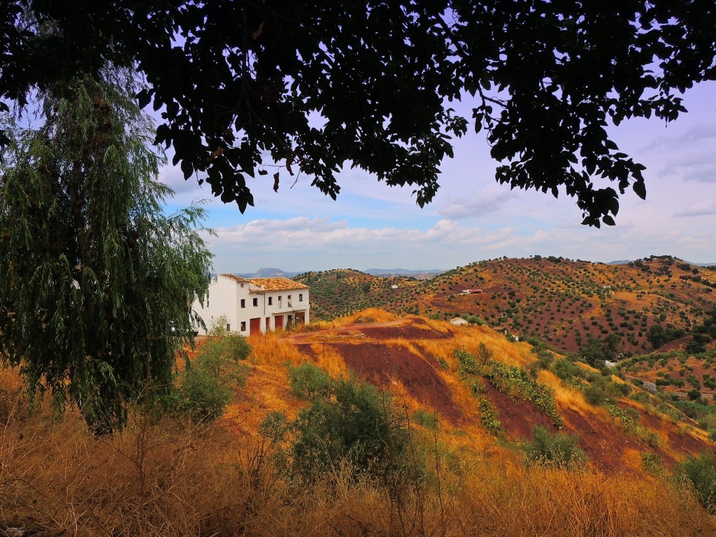 Foto de El Gastor (Cádiz), España