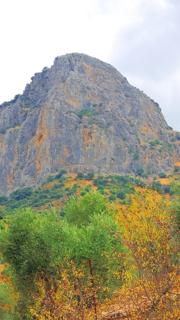 Foto de El Gastor (Cádiz), España