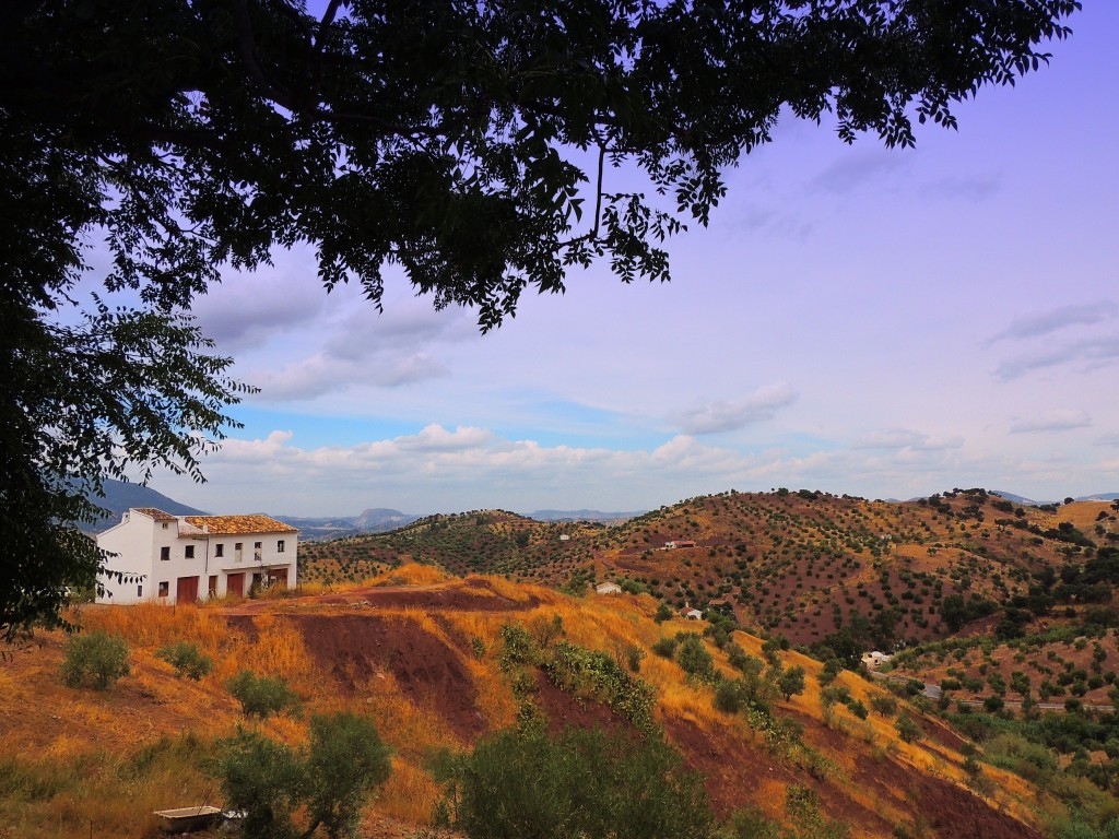 Foto de El Gastor (Cádiz), España